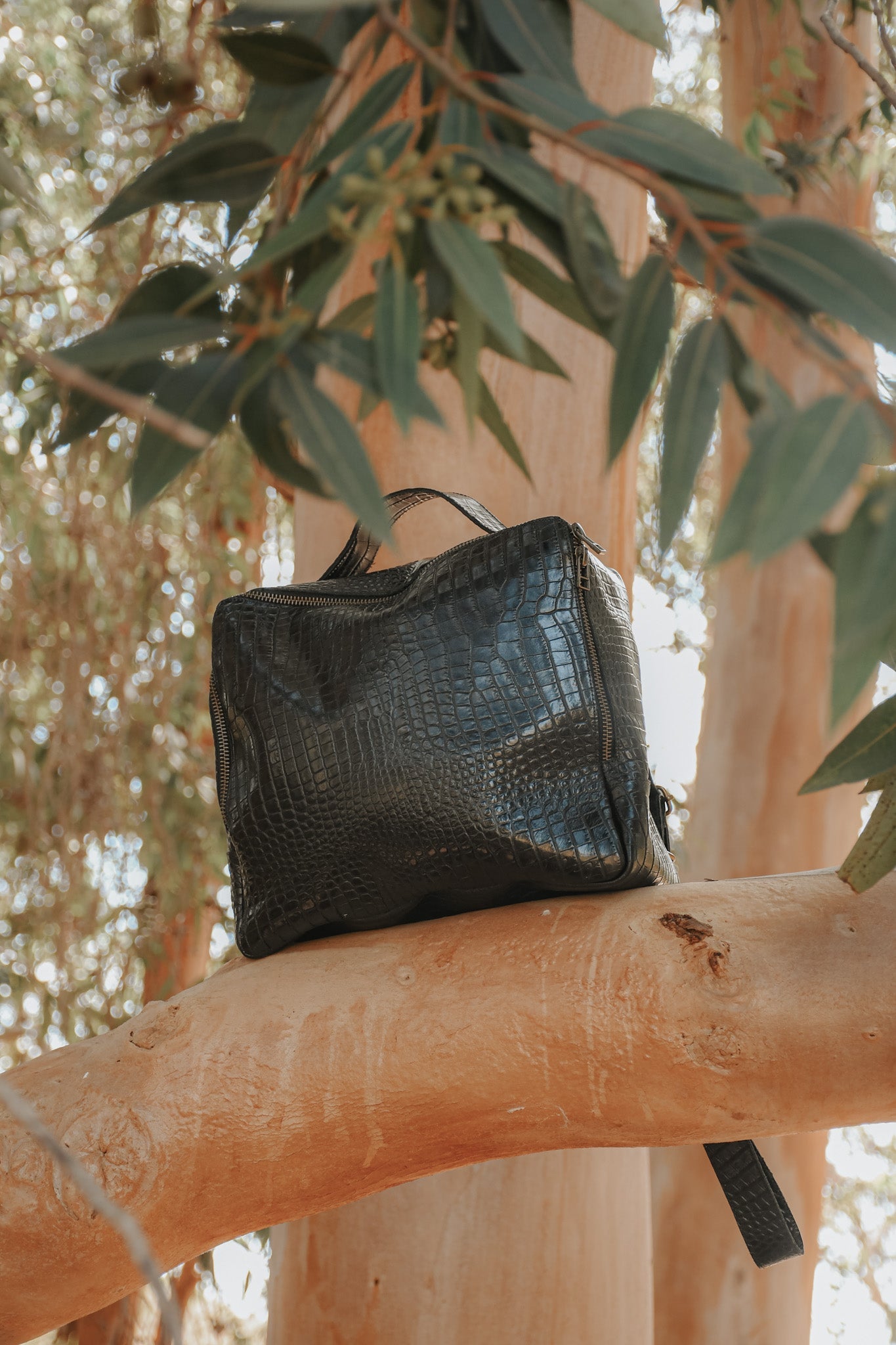 Mochila Chica COBRA Valiz