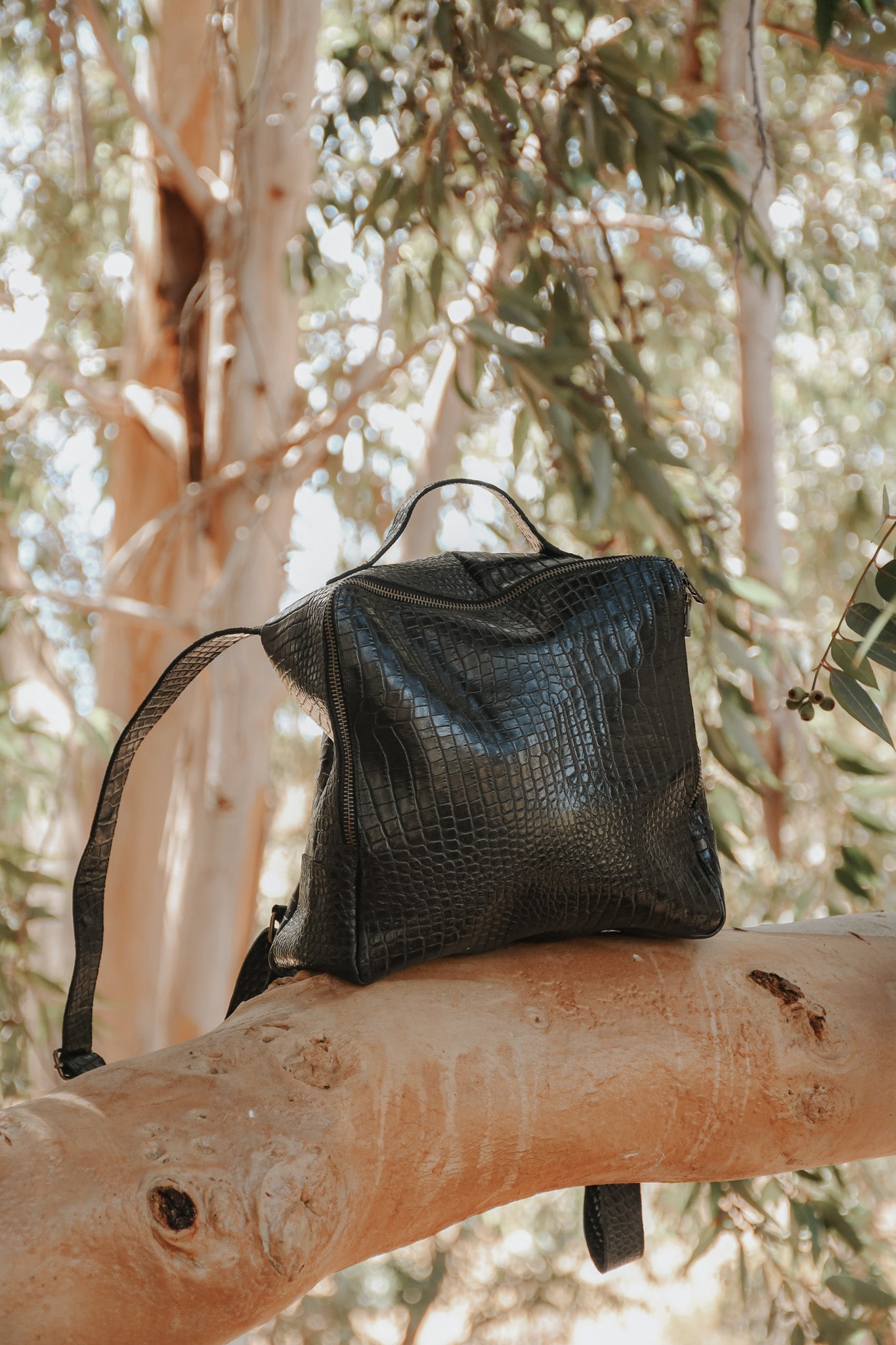 Mochila Chica COBRA Valiz